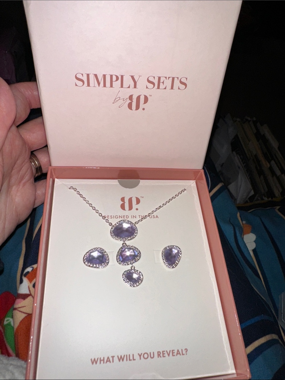 NWT Simply Sets January 2024 silver Necklace & Earring Set
